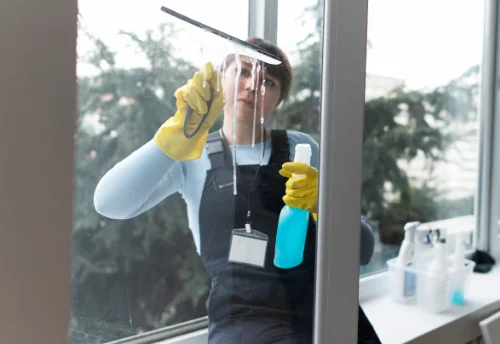 Nettoyage de vitres intérieures et extérieures à Busserolles